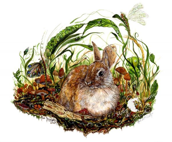 Rabbit In A Dream Giclée Print
